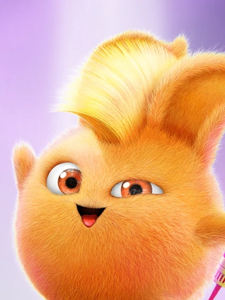 和阳光小兔兔一起唱