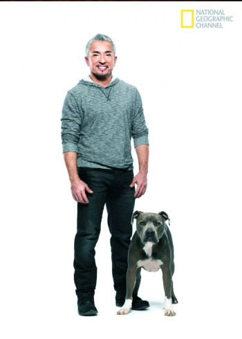 呼叫西萨狗教官1